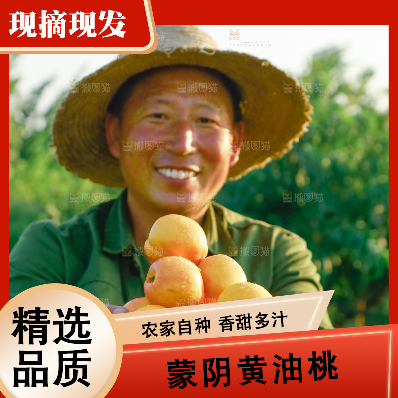 农民手上捧着一堆黄油桃