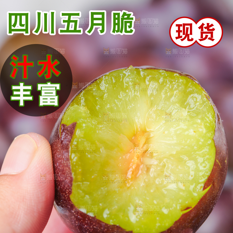 手上拿着凤凰李