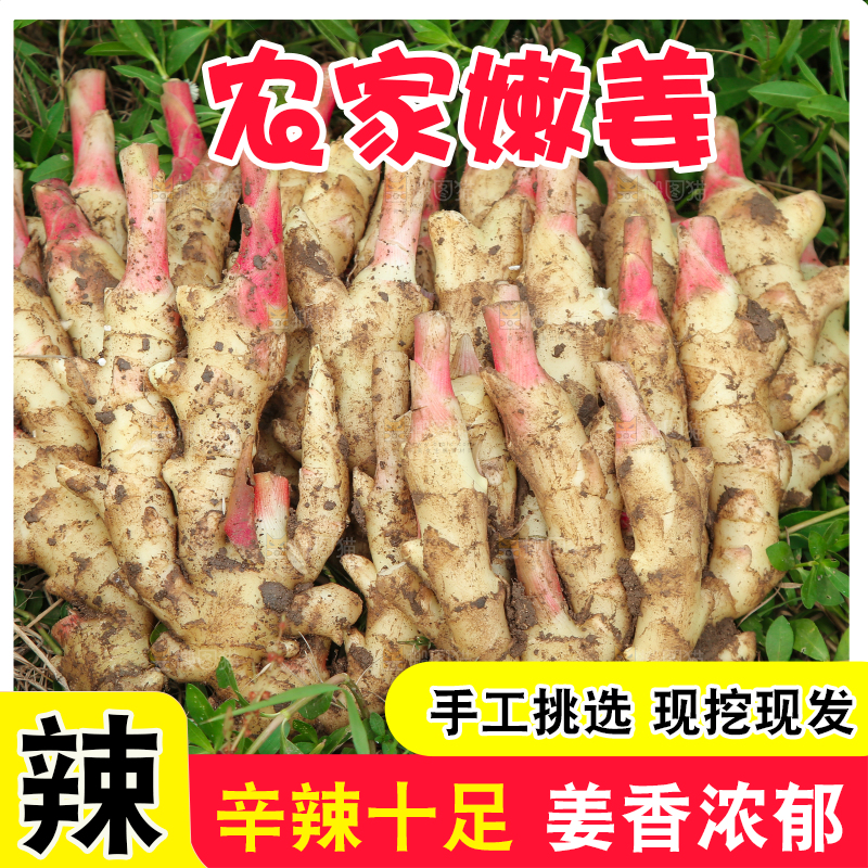 草地上放着嫩姜芽
