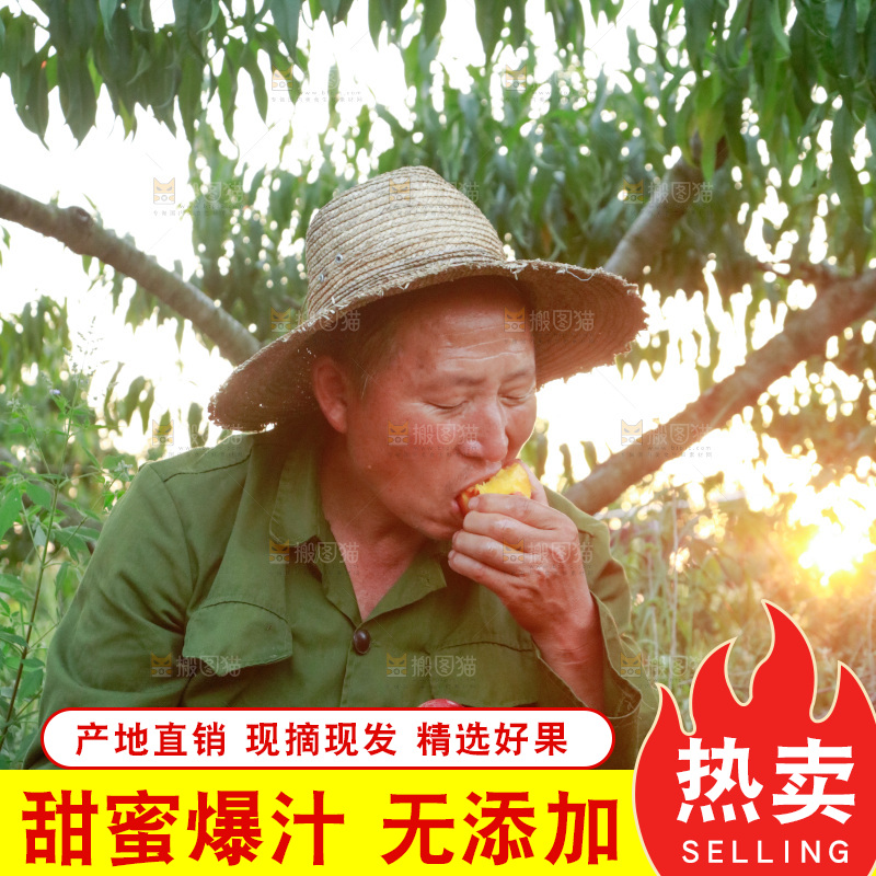 农民手上拿着红油桃