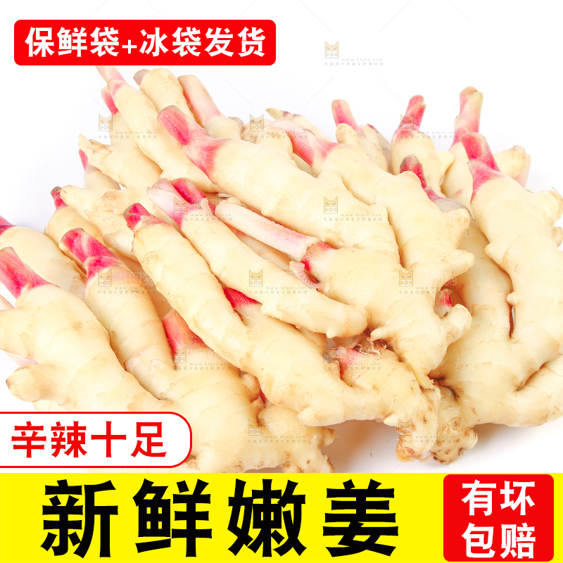 白底上放着一堆嫩姜芽