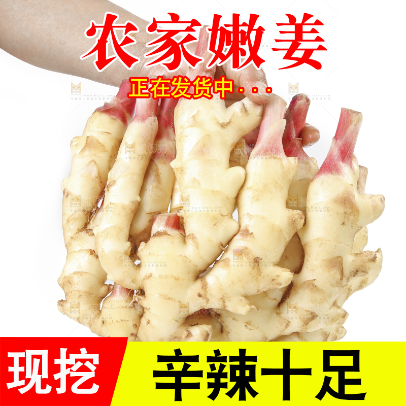 白底上放着红芽嫩姜