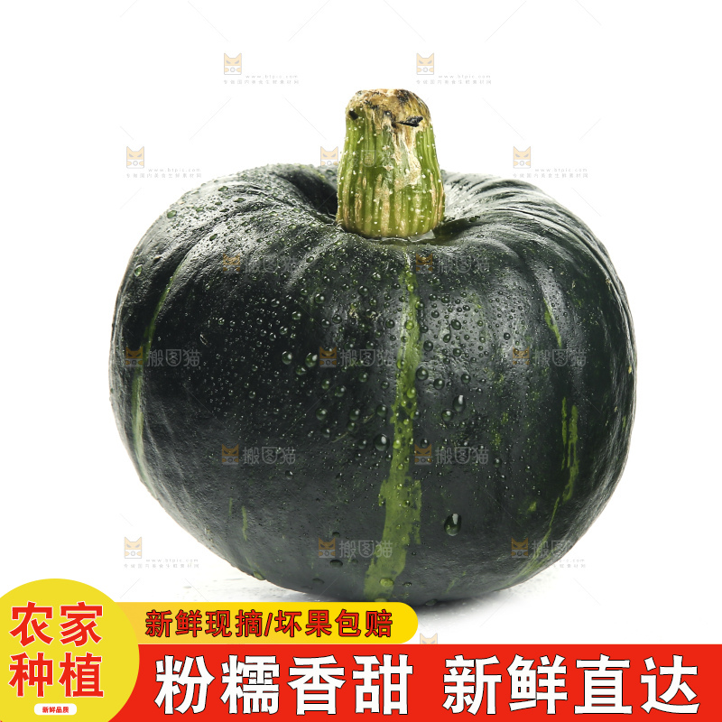 白底上放着贝贝南瓜