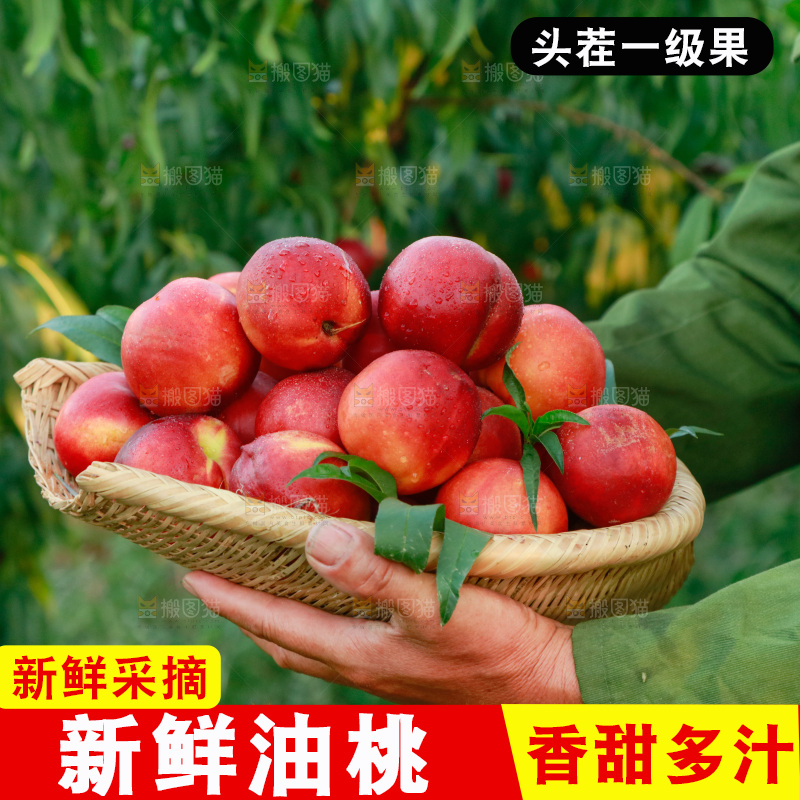 手上抱着一筐黄心油桃