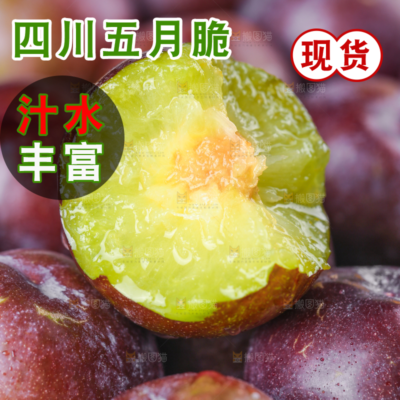 新鲜的五月脆李