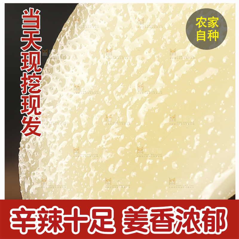 手上拿着的嫩姜片