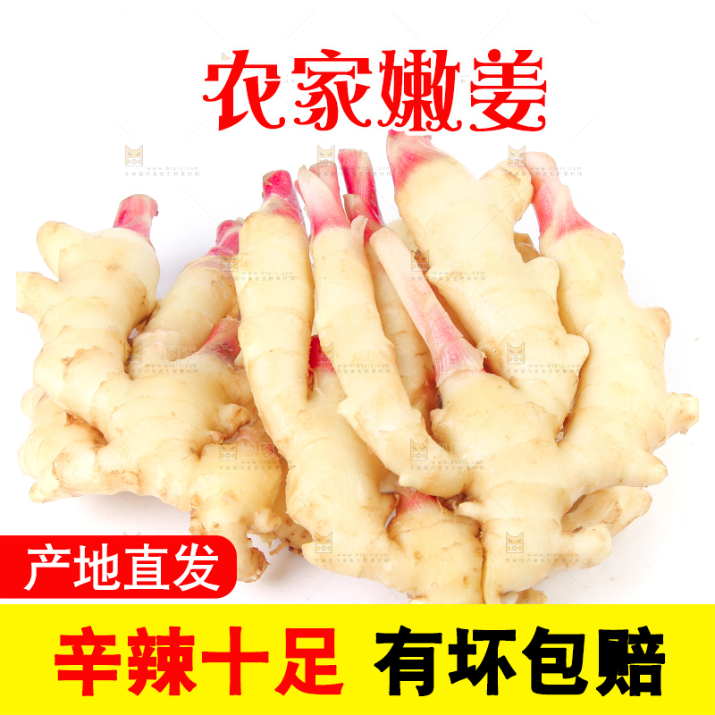 白底上放着一堆嫩姜芽