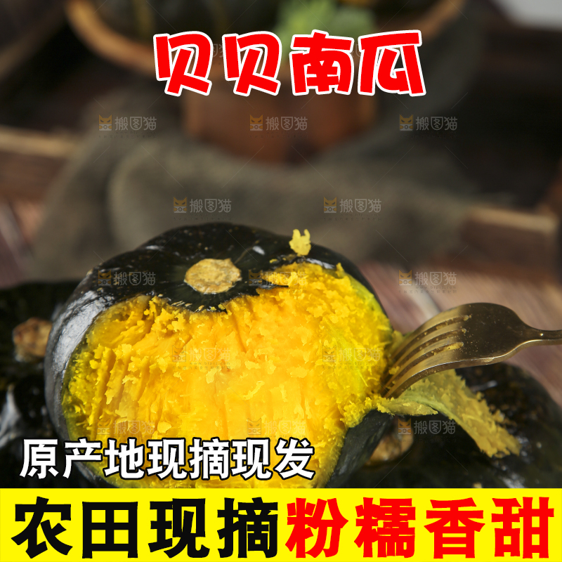 新鲜的贝贝南瓜