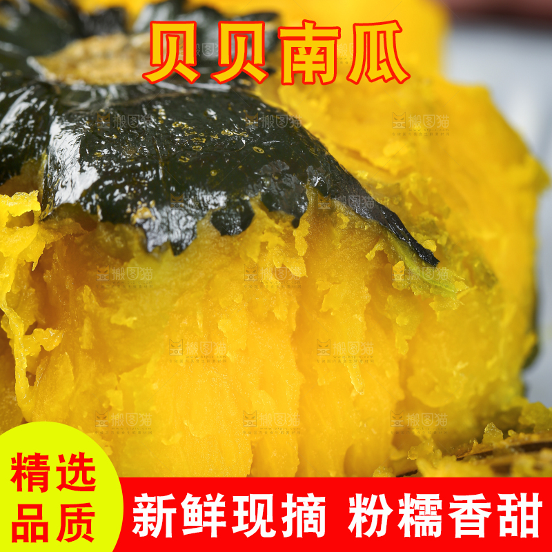 新鲜的贝贝南瓜