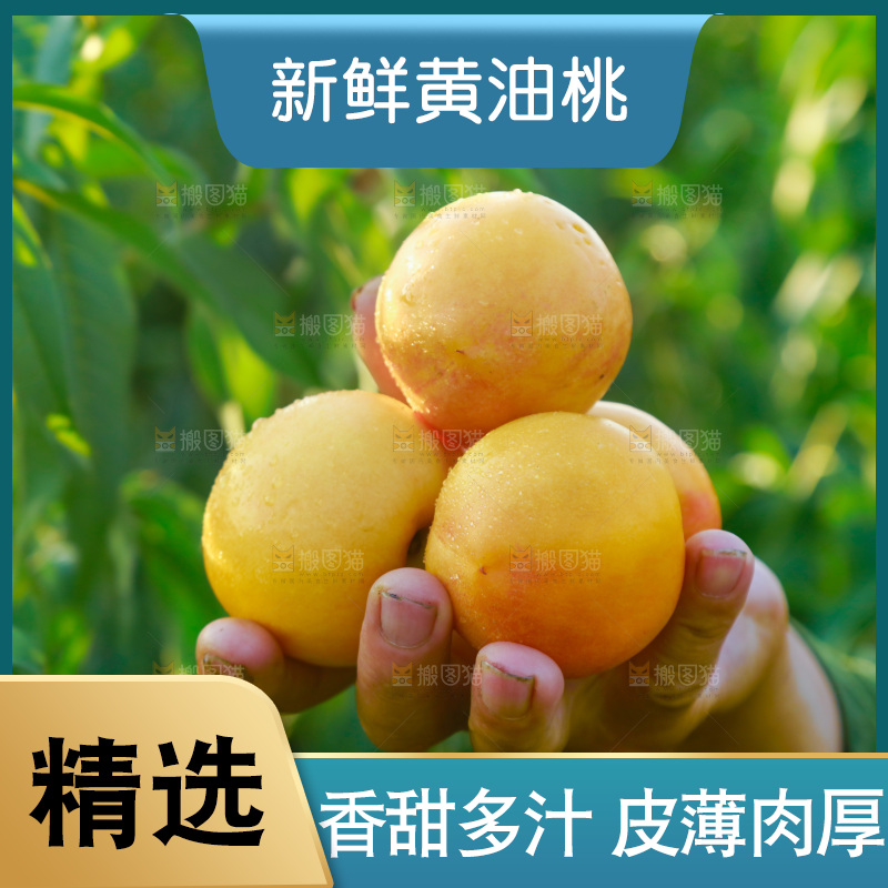 手上拿着黄油桃
