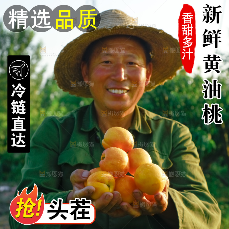 农民手上捧着一堆黄油桃