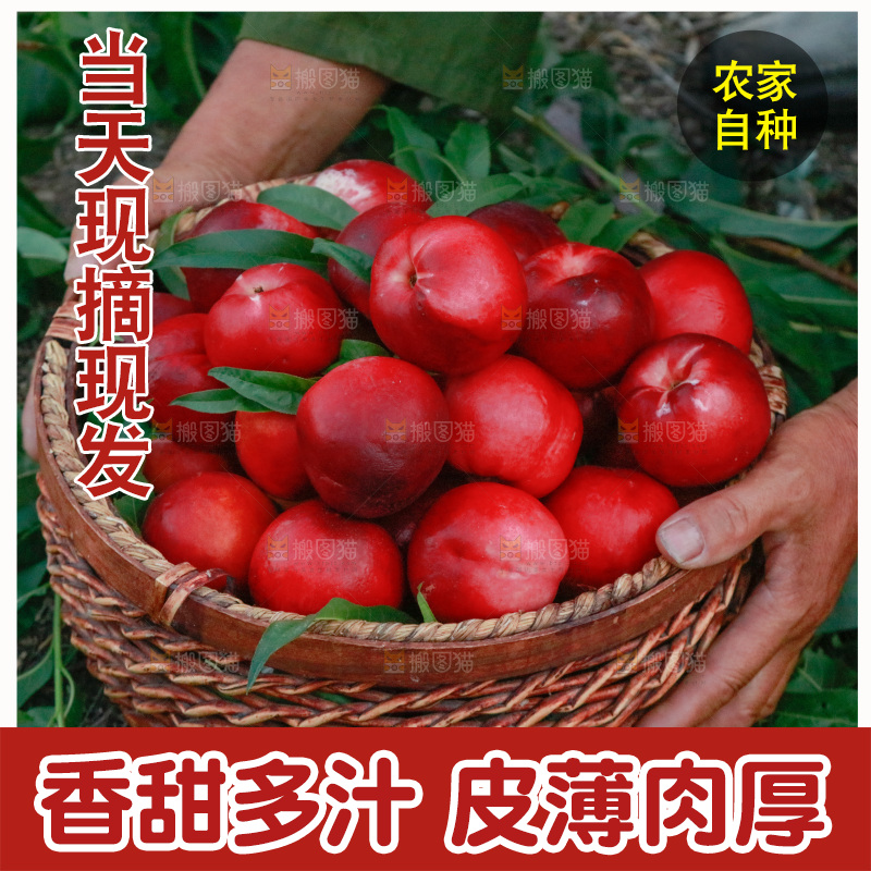 手捧着一筐黄油桃