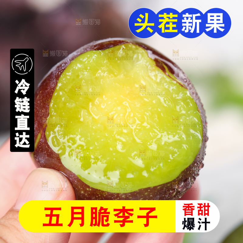手上拿着凤凰李