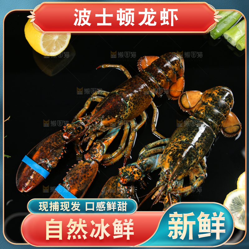 黑底上放着波士顿大龙虾