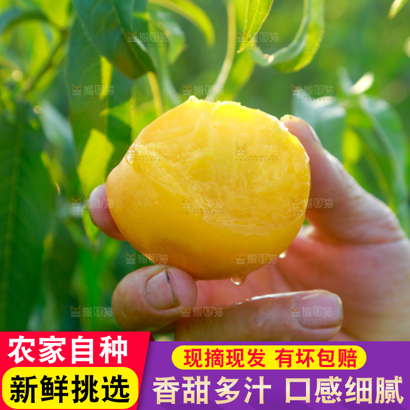 手上拿着黄油桃