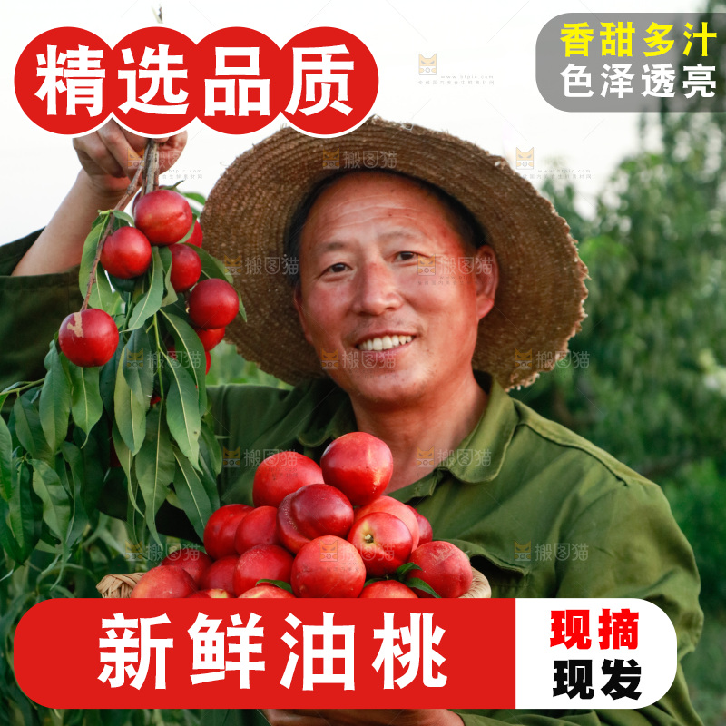 农民手上拿着红油桃