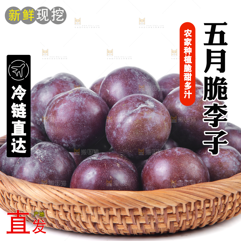 白底上放着一篮五月脆李