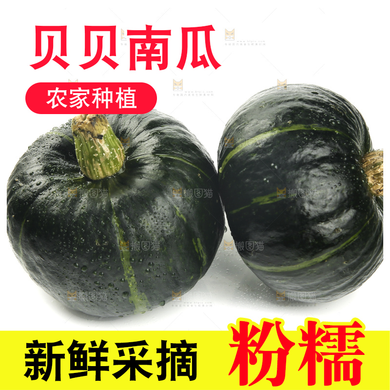 白底上放着贝贝南瓜
