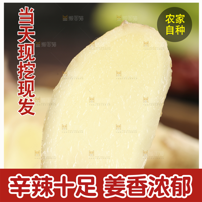 手上拿着的嫩姜片