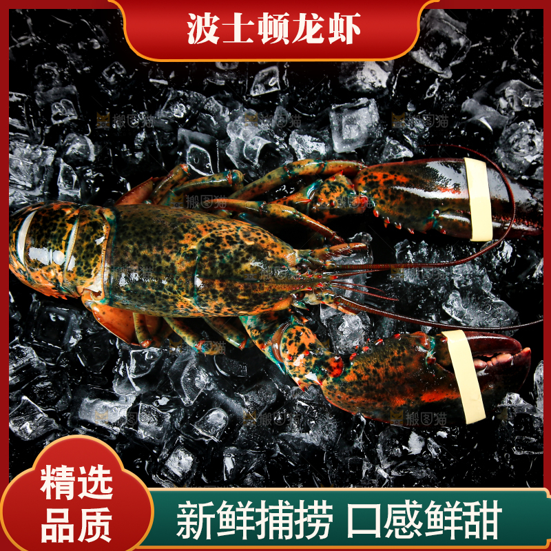 黑底上放着波士顿龙虾