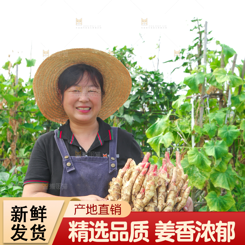 阿姨手上抱着一篮嫩姜