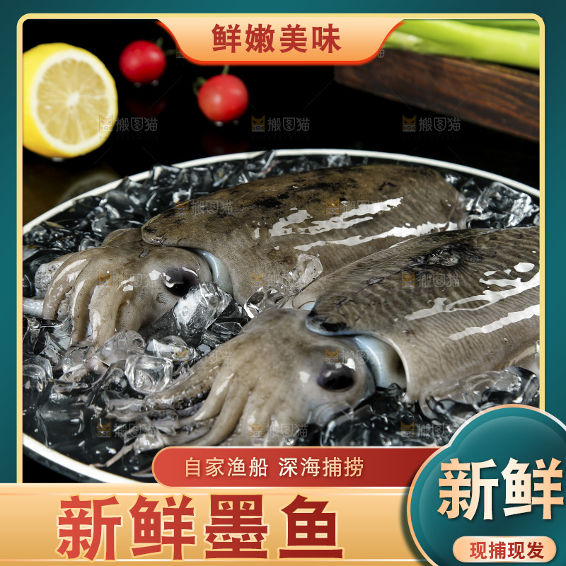 黑底上放着一盘北海墨鱼