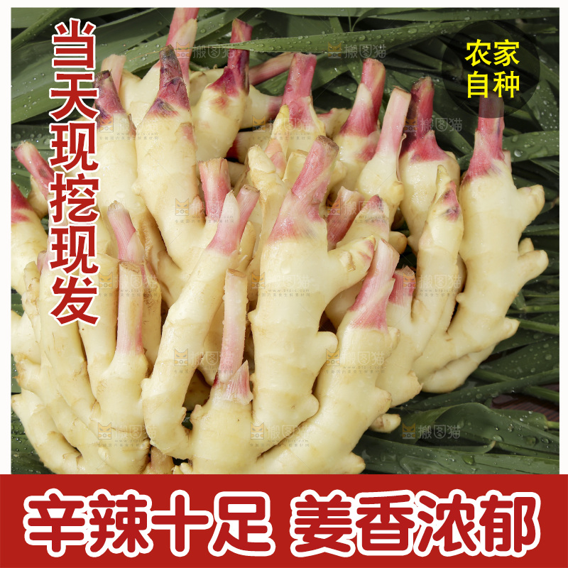 绿草上放着一堆红芽嫩姜