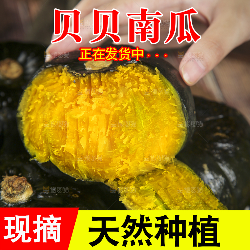 手上拿着贝贝南瓜