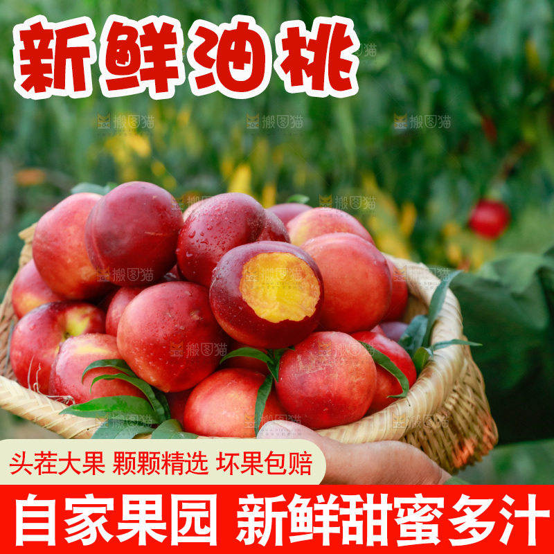 农民手上抱着一筐黄心油桃