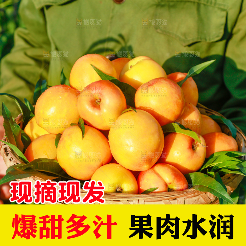 农民手上端着一筐黄油桃