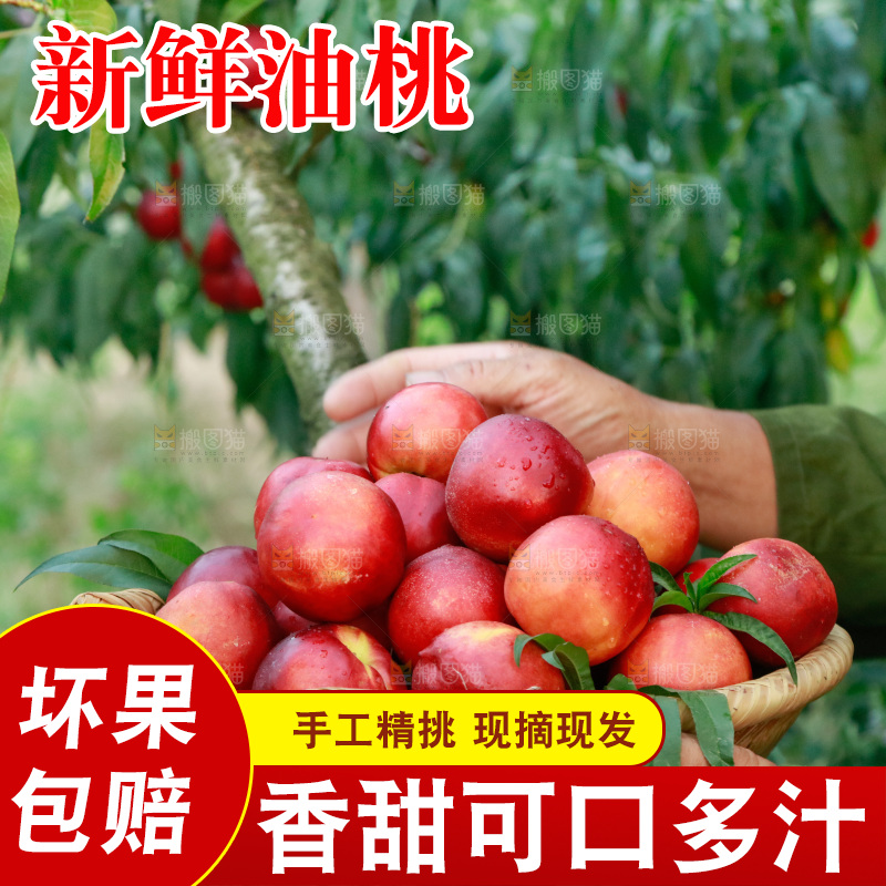 农民手上抱着一筐红油桃