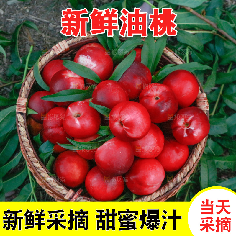 绿叶上放着一筐黄油桃