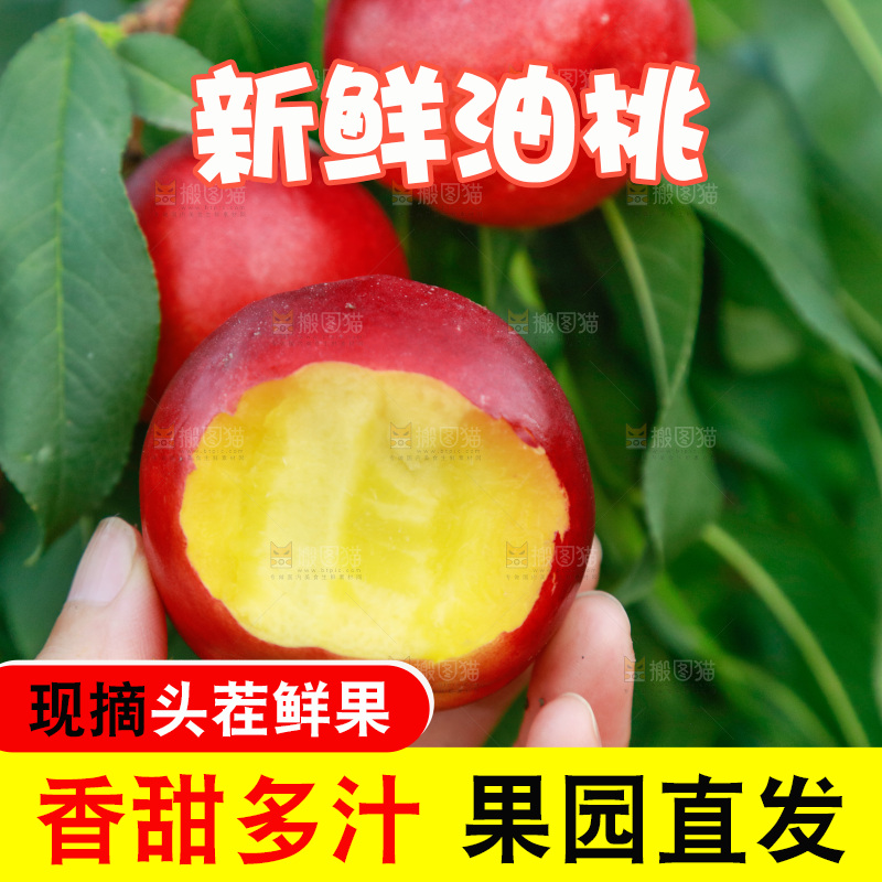 手上拿着黄心油桃