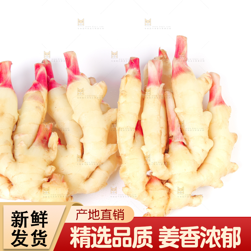 白底上放着一堆嫩姜芽