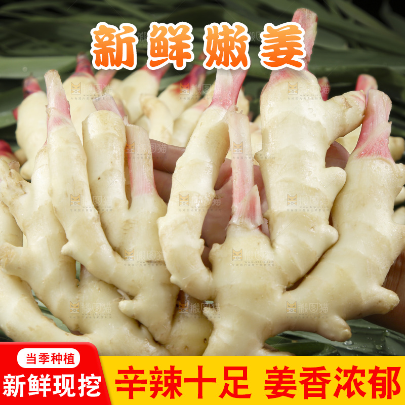 绿草上放着一堆红芽嫩姜