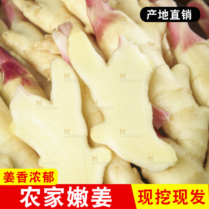 一堆山东红芽嫩姜