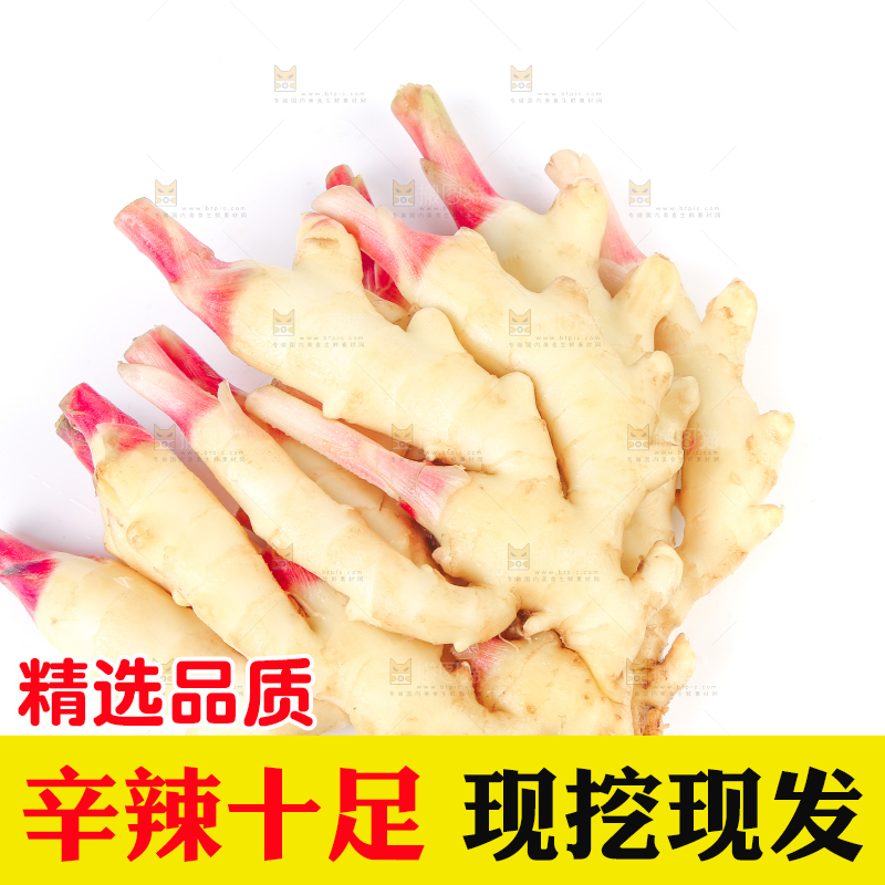 白底上放着一堆嫩姜芽