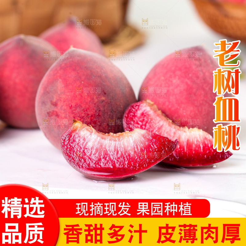 白底上放着中华血桃