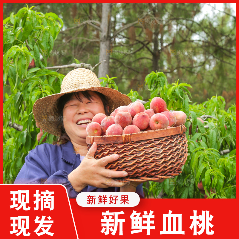 女人手上抱着一筐胭脂红桃子