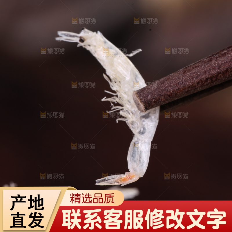 筷子上夹着的虾皮