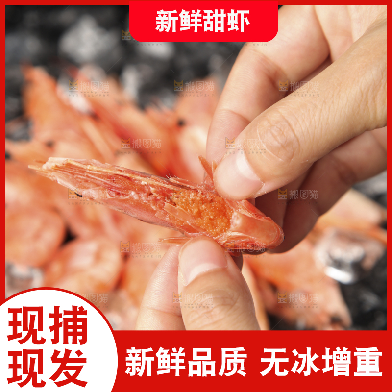 手上拿着北极甜虾