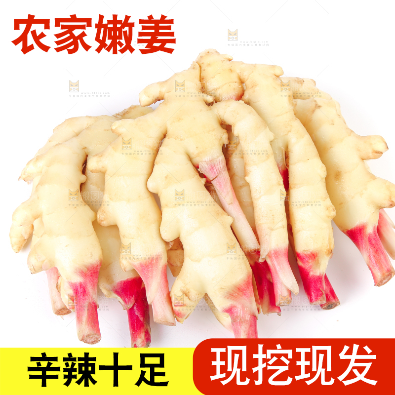 白底上放着嫩姜芽