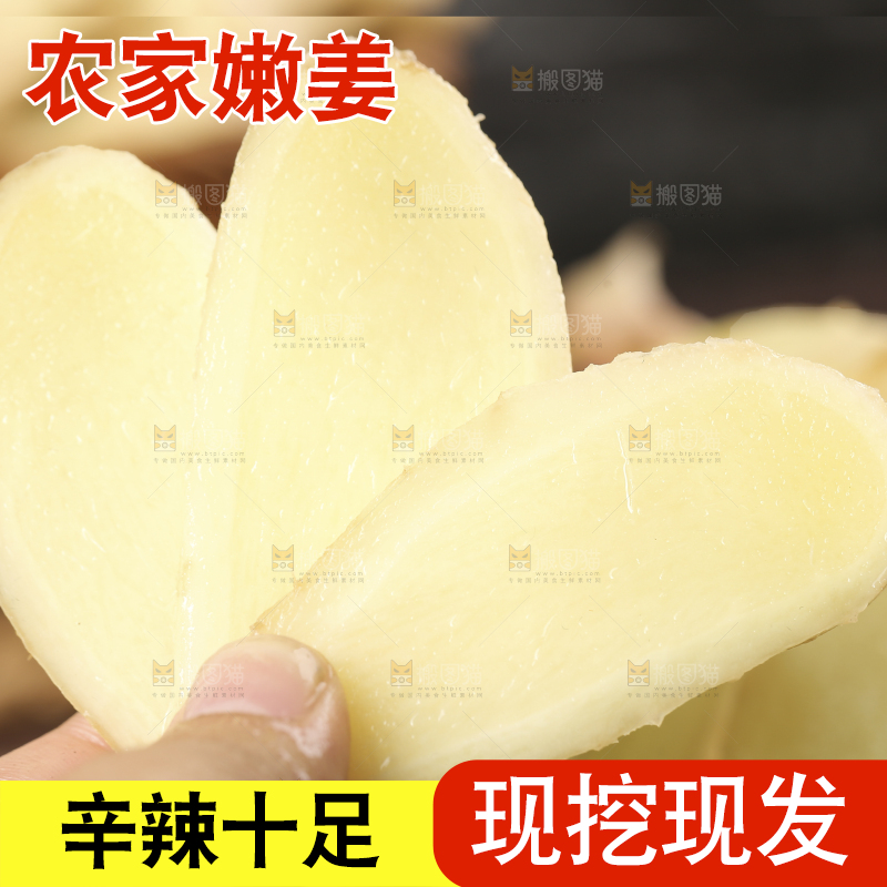 手上拿着的嫩姜片