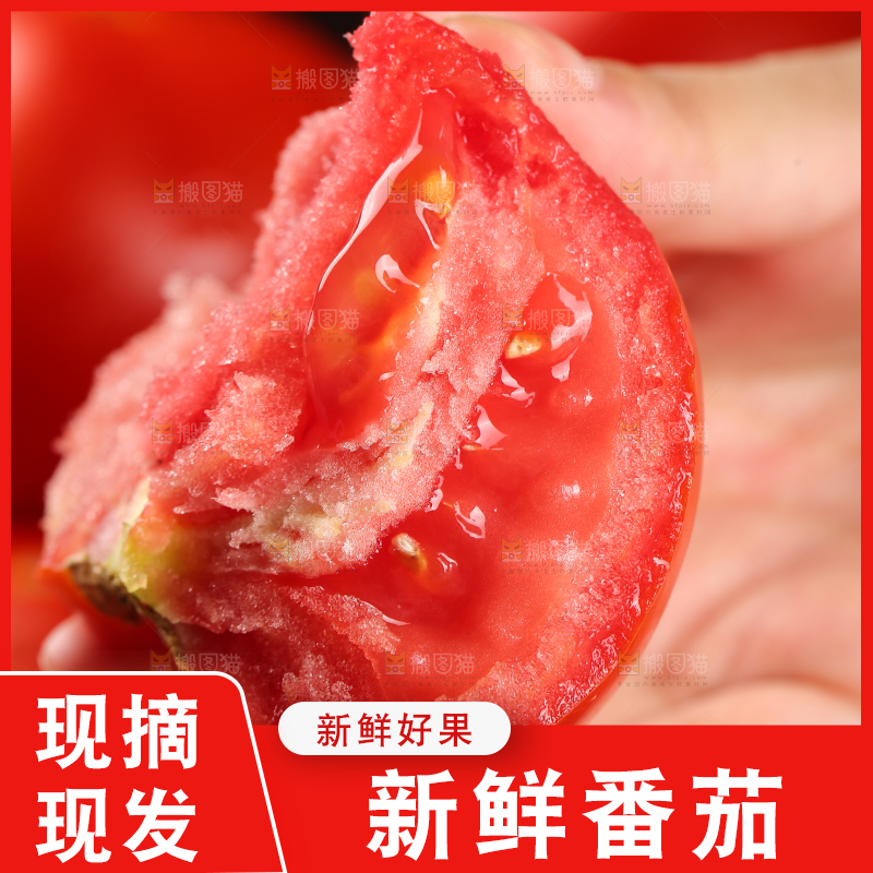 手上拿着沙瓤西红柿