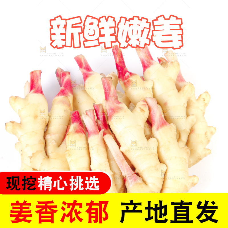 白底上放着一堆嫩姜芽