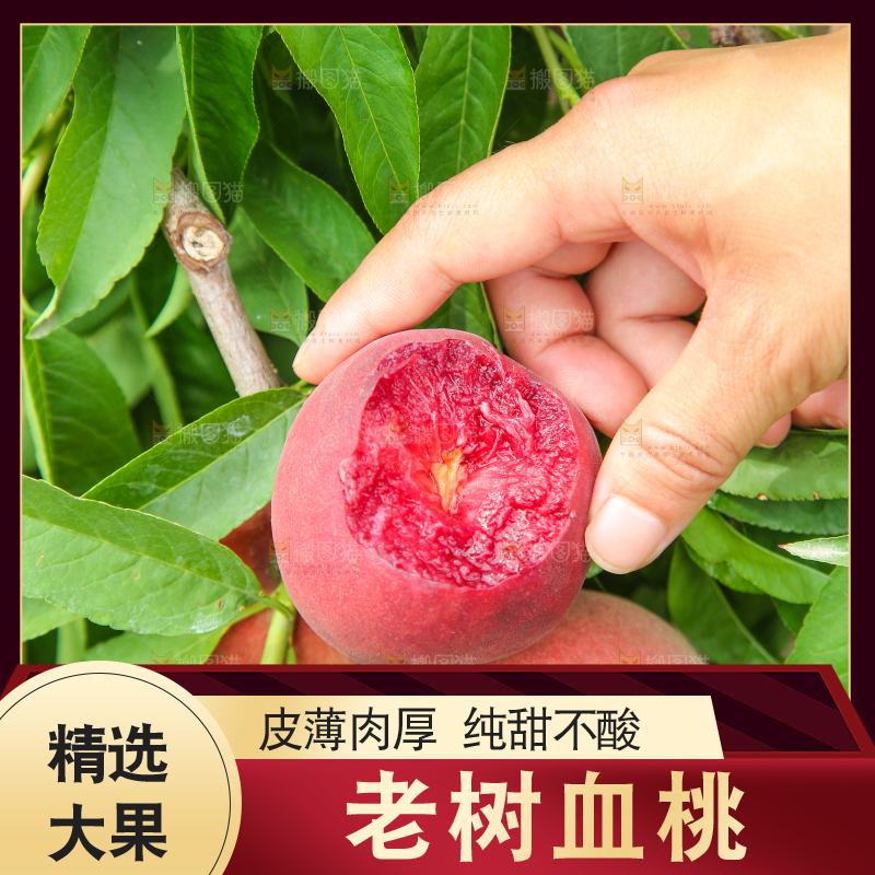 手上拿着胭脂红桃子