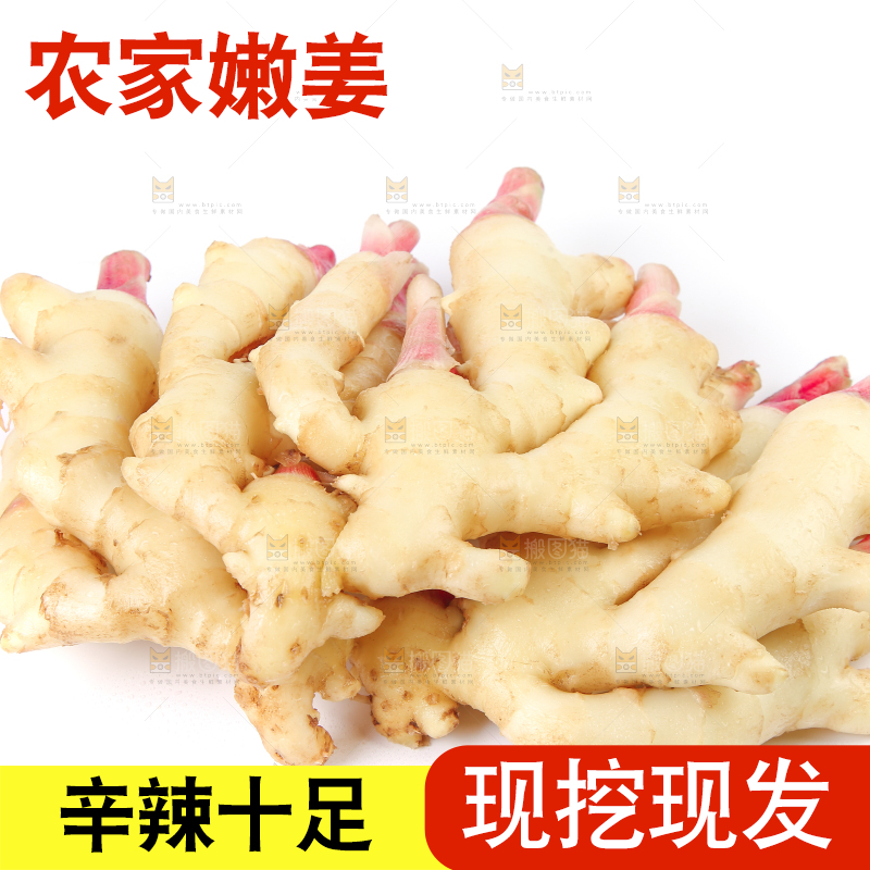 白底上放着嫩姜芽