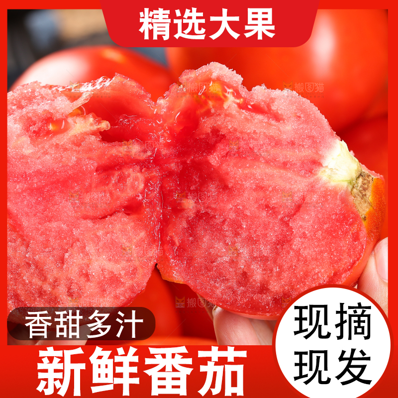 手上拿着沙瓤西红柿