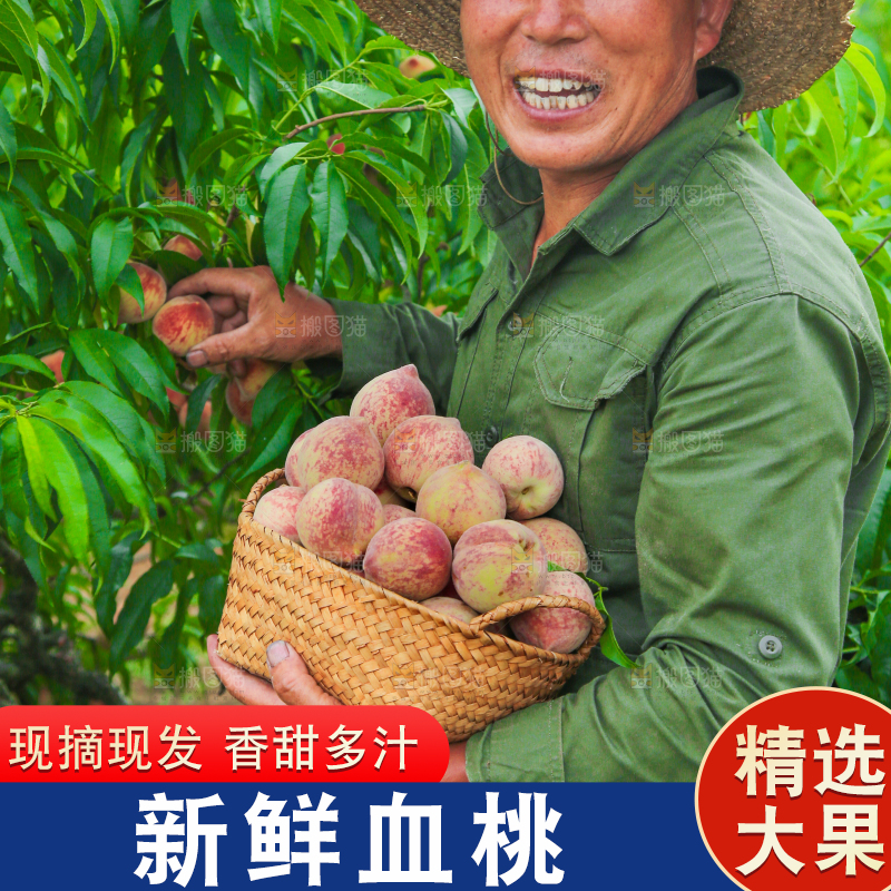 农民手上抱着一筐胭脂红