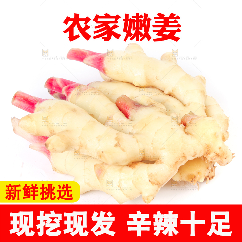 白底上放着一堆嫩姜芽